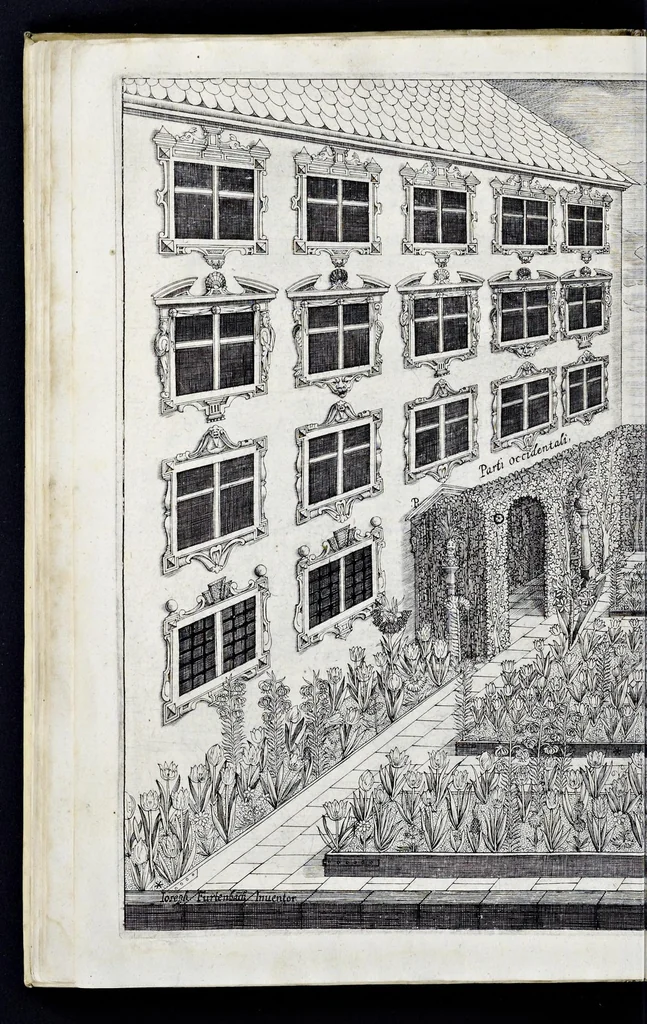 An illustration from Architectura privata, das ist, Gründtliche Beschreibung, neben conterfetischer Vorstellung, inn was Form vnd Manier ein gar irregular, burgerliches Wohnhaus, jedoch mit seinem sehr guten Commoditeten erbawet, darbey ein Rüst vnd Kunst Kammer auffgericht, ingleichem mit Garten, Blumen, Wasser, neben einem Grottenwercklin versehen, vnnd also schon zu gutem Ende ist gebracht worden : darbey ... zu erlehrnen in was Gestalt man die Berlemuttere Meer-Schnecken, neben denselben Muscheln, sowol auch die CorallenZincken palliren, vnd das beste Kitt zu verfertigung der Grotten zubereiten solle ..., 1641, leaf 61