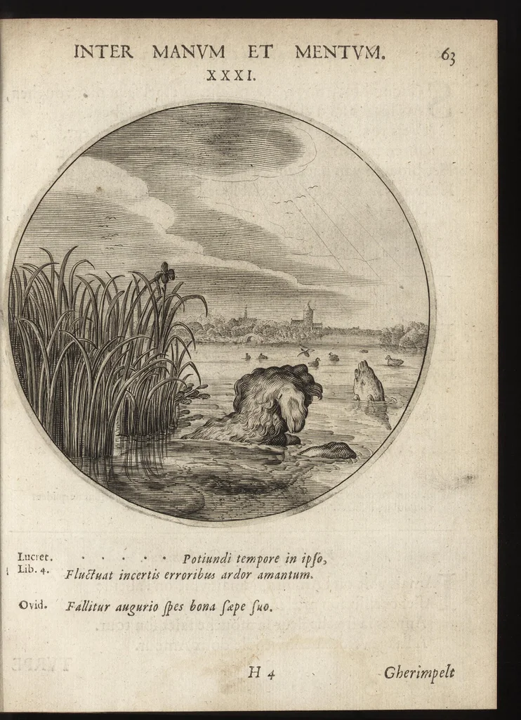 An illustration from Iacobi Catzii I.C. Silenus Alcibiadis, sive Proteus, humanae vitae ideam, emblemate trifariam variato, oculis subjiciens. Iconibus artificiosé in aes incisis, ac trium linguarum explicatione eleganter elustratus, 1619, leaf 104