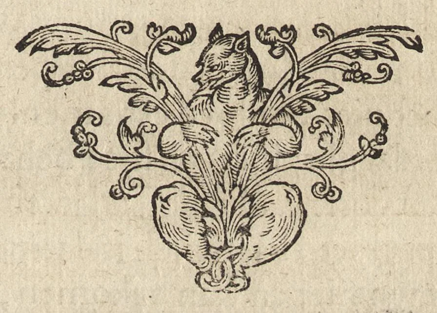 An illustration from Iacobi Catzii I.C. Silenus Alcibiadis, sive Proteus, humanae vitae ideam, emblemate trifariam variato, oculis subjiciens. Iconibus artificiosé in aes incisis, ac trium linguarum explicatione eleganter elustratus, 1619, leaf 378