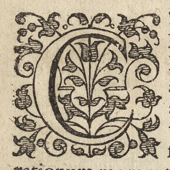 An illustration from Iacobi Catzii I.C. Silenus Alcibiadis, sive Proteus, humanae vitae ideam, emblemate trifariam variato, oculis subjiciens. Iconibus artificiosé in aes incisis, ac trium linguarum explicatione eleganter elustratus, 1619, leaf 9