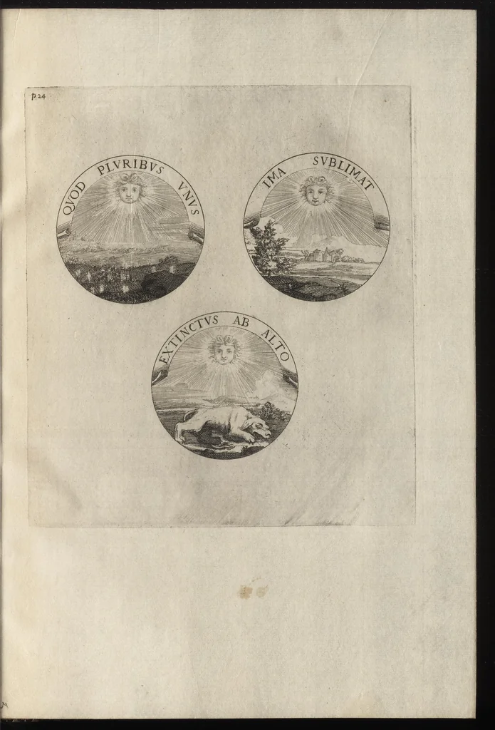 An illustration from Ludovici Magni Galliarvm et Navarræ regis, invicti, triumphantis, et pacifici : elvcvbratio anagrammatica-historica : symbolis illustrata, 1679, leaf 46