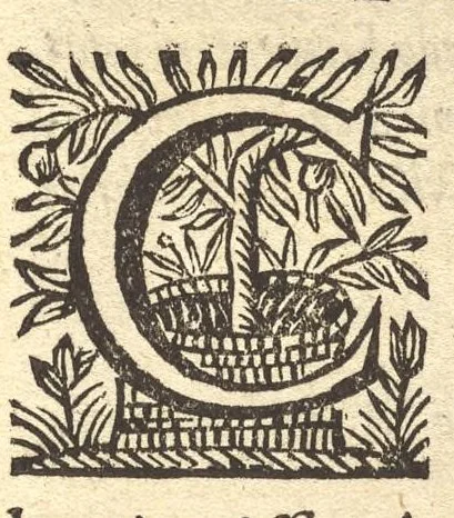 An illustration from AntonI Sucquet è Societate Iesu Via vitae aeternae, 1665, leaf 8