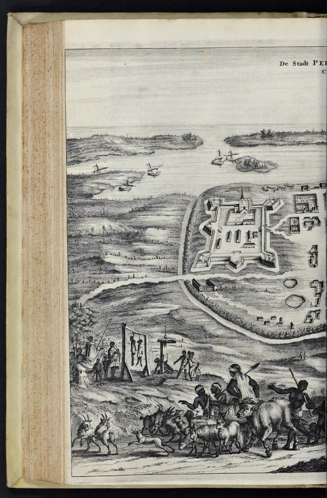 An illustration from Johan Nieuhofs Gedenkweerdige Brasiliaense zee- en lantreize : behelzende alhetgeen op dezelve is voorgevallen : beneffens een bondige beschrijving van gantsch Neerlants Brasil, zoo van lantschappen, steden, dieren, gewassen, als draghten, zeden en godsdienst der inwoonders : en inzonderheit ein wijtloopig verhael der merkwaardigste voorvallen en geschiedenissen, die zich, geduurende zijn negenjarigh verblijf in Brasil, in d'oorlogen en opstant der Portugesen tegen d'onzen, zich sedert het jaer 1640 tot 1649 hebben toegedragen : doorgaens verciert met verscheide afbeeldingen na 't leven aldaer getekent, 1682, leaf 423