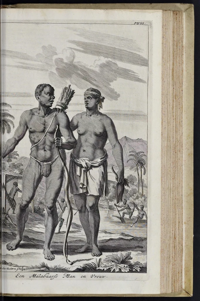 An illustration from Johan Nieuhofs Gedenkweerdige Brasiliaense zee- en lantreize : behelzende alhetgeen op dezelve is voorgevallen : beneffens een bondige beschrijving van gantsch Neerlants Brasil, zoo van lantschappen, steden, dieren, gewassen, als draghten, zeden en godsdienst der inwoonders : en inzonderheit ein wijtloopig verhael der merkwaardigste voorvallen en geschiedenissen, die zich, geduurende zijn negenjarigh verblijf in Brasil, in d'oorlogen en opstant der Portugesen tegen d'onzen, zich sedert het jaer 1640 tot 1649 hebben toegedragen : doorgaens verciert met verscheide afbeeldingen na 't leven aldaer getekent, 1682, leaf 466