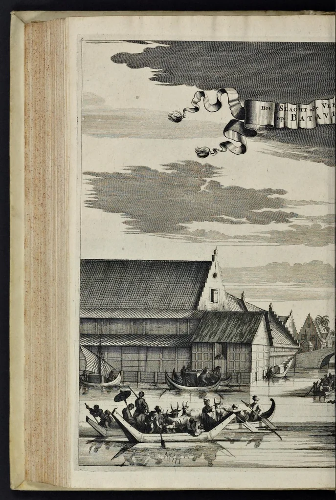 An illustration from Johan Nieuhofs Gedenkweerdige Brasiliaense zee- en lantreize : behelzende alhetgeen op dezelve is voorgevallen : beneffens een bondige beschrijving van gantsch Neerlants Brasil, zoo van lantschappen, steden, dieren, gewassen, als draghten, zeden en godsdienst der inwoonders : en inzonderheit ein wijtloopig verhael der merkwaardigste voorvallen en geschiedenissen, die zich, geduurende zijn negenjarigh verblijf in Brasil, in d'oorlogen en opstant der Portugesen tegen d'onzen, zich sedert het jaer 1640 tot 1649 hebben toegedragen : doorgaens verciert met verscheide afbeeldingen na 't leven aldaer getekent, 1682, leaf 559