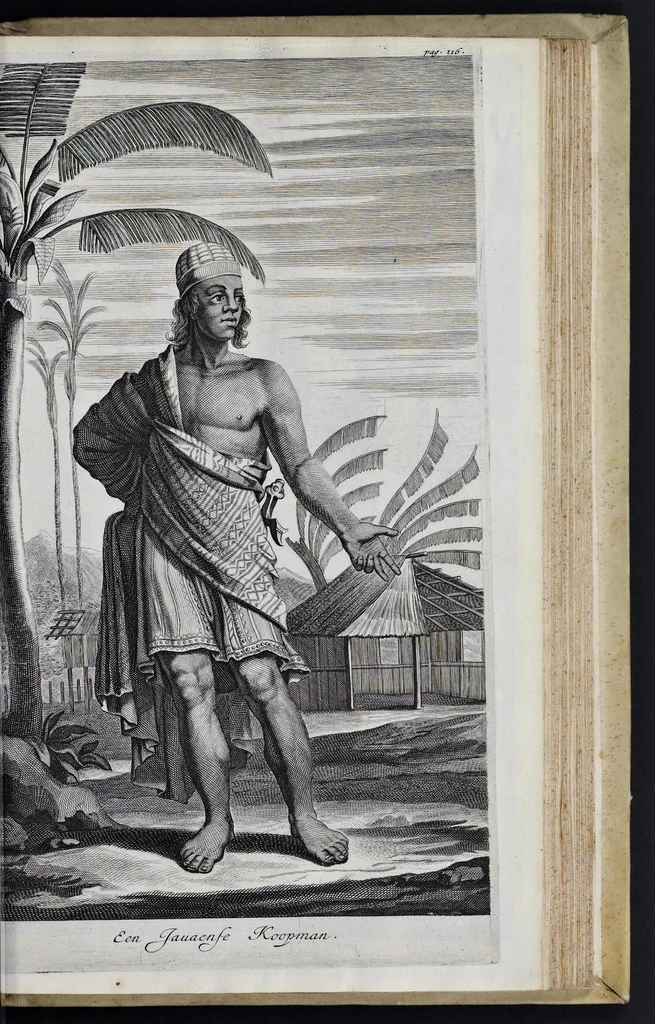 An illustration from Johan Nieuhofs Gedenkweerdige Brasiliaense zee- en lantreize : behelzende alhetgeen op dezelve is voorgevallen : beneffens een bondige beschrijving van gantsch Neerlants Brasil, zoo van lantschappen, steden, dieren, gewassen, als draghten, zeden en godsdienst der inwoonders : en inzonderheit ein wijtloopig verhael der merkwaardigste voorvallen en geschiedenissen, die zich, geduurende zijn negenjarigh verblijf in Brasil, in d'oorlogen en opstant der Portugesen tegen d'onzen, zich sedert het jaer 1640 tot 1649 hebben toegedragen : doorgaens verciert met verscheide afbeeldingen na 't leven aldaer getekent, 1682, leaf 594