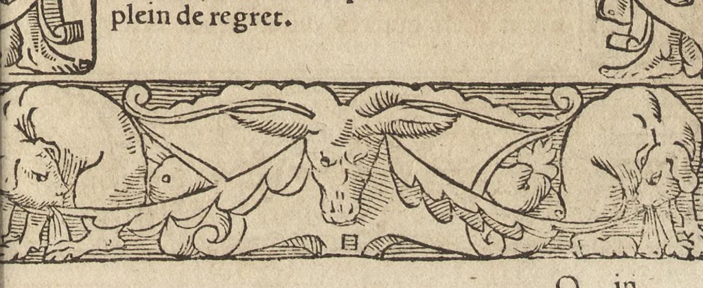 An illustration from Le pegme, 1560, leaf 218