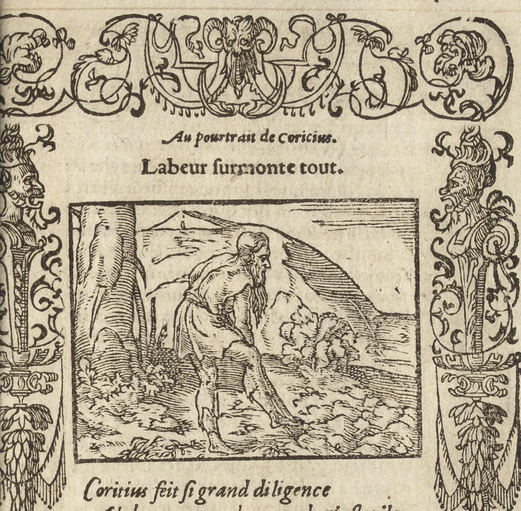 An illustration from Le pegme, 1560, leaf 246
