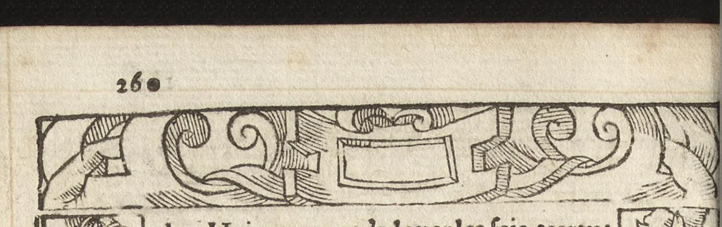 An illustration from Le pegme, 1560, leaf 265