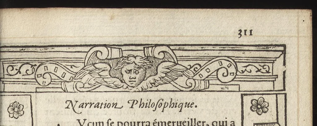 An illustration from Le pegme, 1560, leaf 316