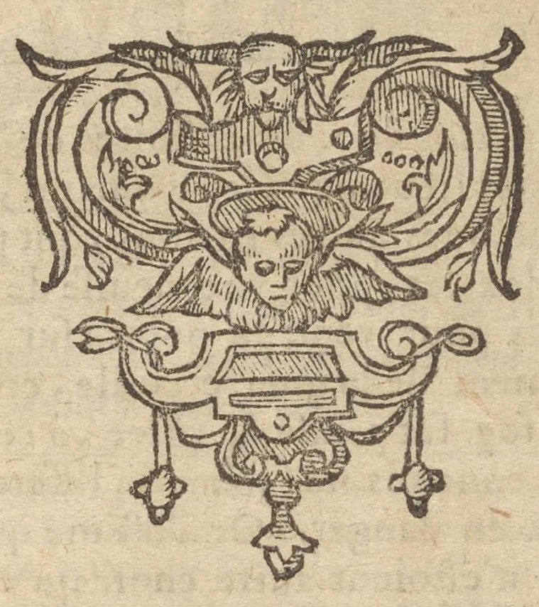 An illustration from Emblemata Andreæ Alciati I. C. clariss. Latinogallica : vnà cum succinctis argumentis, quibus emblematis cuiúsque sententia explicatur, ad calcem Alciati vita = Les emblemes Latin-Francois dv Seigneur Andre Alciat, excellent iurisconsulte, avec argumens succincts pour entendre le sens de chasque embleme, en fin est la vie d'Alcist : la version Françoise non encor veuë cy deuant, 1584, leaf 140