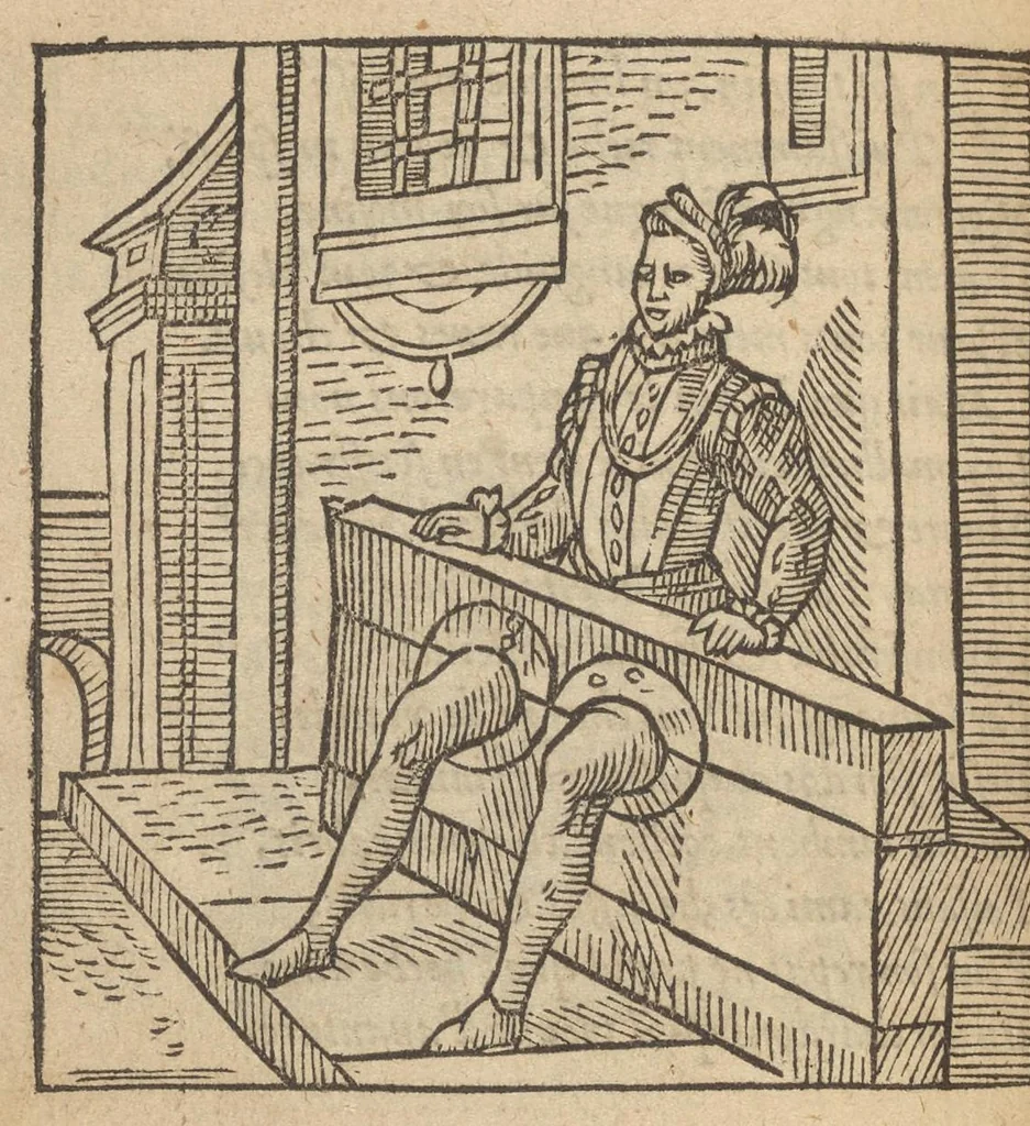 An illustration from Emblemata Andreæ Alciati I. C. clariss. Latinogallica : vnà cum succinctis argumentis, quibus emblematis cuiúsque sententia explicatur, ad calcem Alciati vita = Les emblemes Latin-Francois dv Seigneur Andre Alciat, excellent iurisconsulte, avec argumens succincts pour entendre le sens de chasque embleme, en fin est la vie d'Alcist : la version Françoise non encor veuë cy deuant, 1584, leaf 263