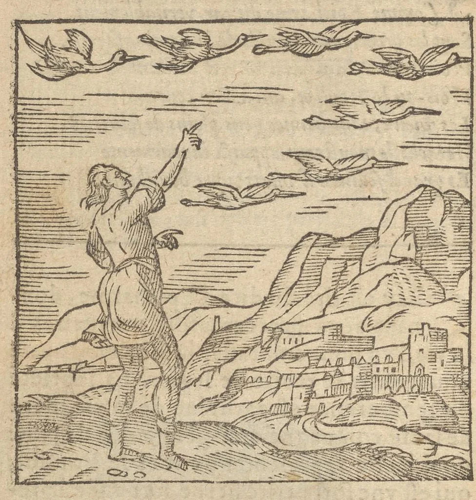 An illustration from Emblemata Andreæ Alciati I. C. clariss. Latinogallica : vnà cum succinctis argumentis, quibus emblematis cuiúsque sententia explicatur, ad calcem Alciati vita = Les emblemes Latin-Francois dv Seigneur Andre Alciat, excellent iurisconsulte, avec argumens succincts pour entendre le sens de chasque embleme, en fin est la vie d'Alcist : la version Françoise non encor veuë cy deuant, 1584, leaf 75