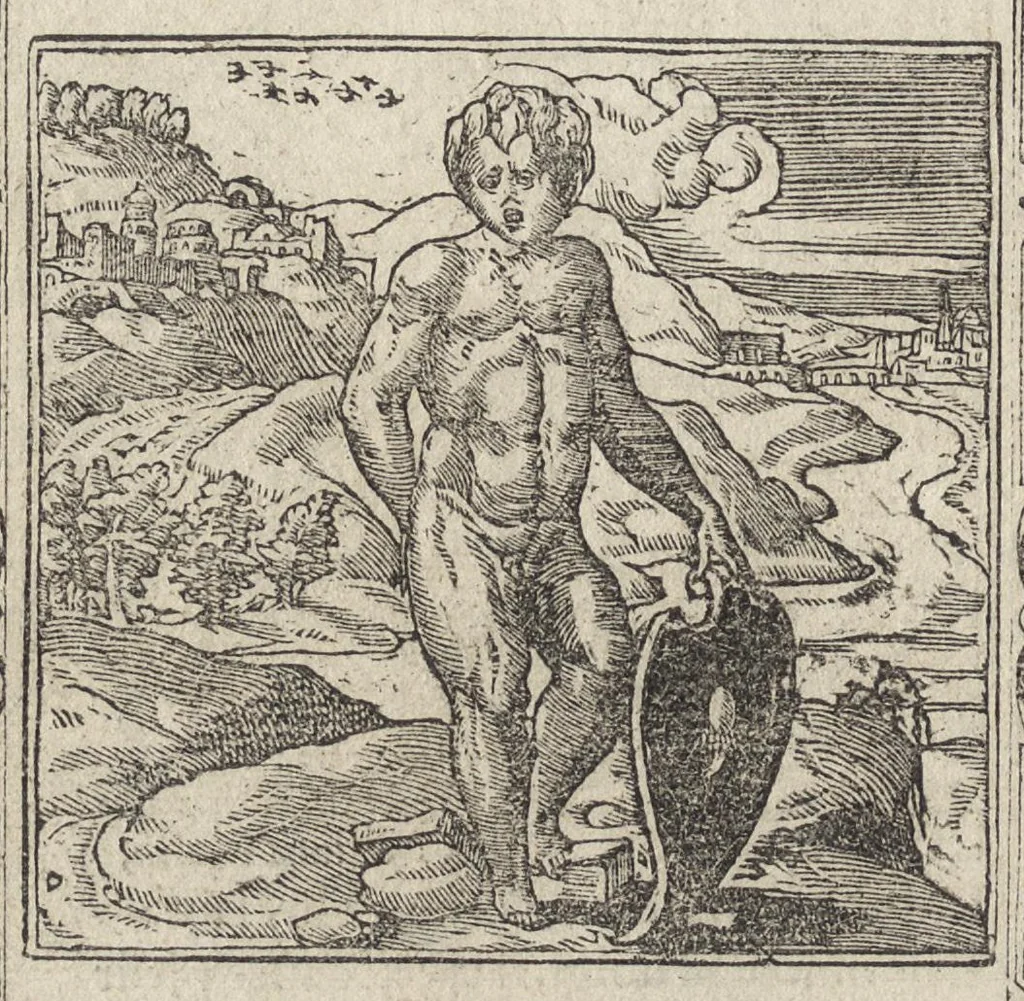 An illustration from Emblemes d'Alciat : de nouueau trãslatez en frãçois, vers pour vers iouxte les latins : ordonnez en lieux cõmuns, auec briefues expositions & figures nouuelles appropriées aux derniers emblemes, 1549, leaf 143