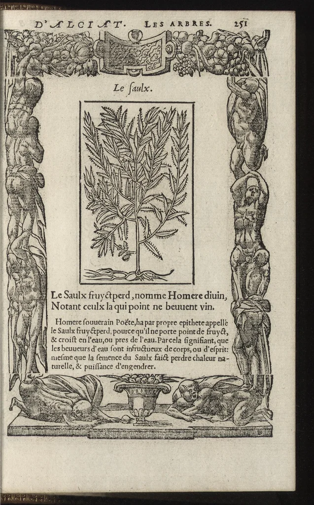 An illustration from Emblemes d'Alciat : de nouueau trãslatez en frãçois, vers pour vers iouxte les latins : ordonnez en lieux cõmuns, auec briefues expositions & figures nouuelles appropriées aux derniers emblemes, 1549, leaf 256