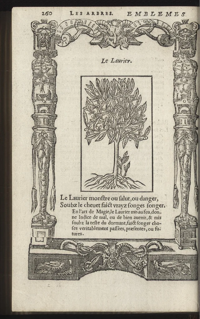 An illustration from Emblemes d'Alciat : de nouueau trãslatez en frãçois, vers pour vers iouxte les latins : ordonnez en lieux cõmuns, auec briefues expositions & figures nouuelles appropriées aux derniers emblemes, 1549, leaf 265