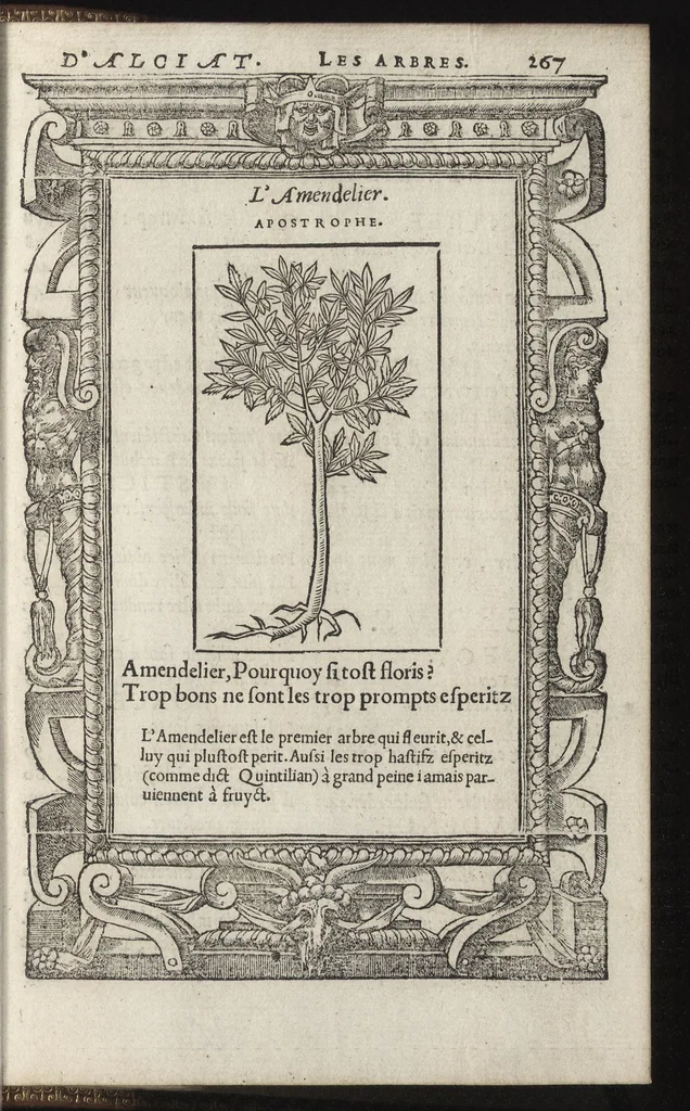 An illustration from Emblemes d'Alciat : de nouueau trãslatez en frãçois, vers pour vers iouxte les latins : ordonnez en lieux cõmuns, auec briefues expositions & figures nouuelles appropriées aux derniers emblemes, 1549, leaf 272