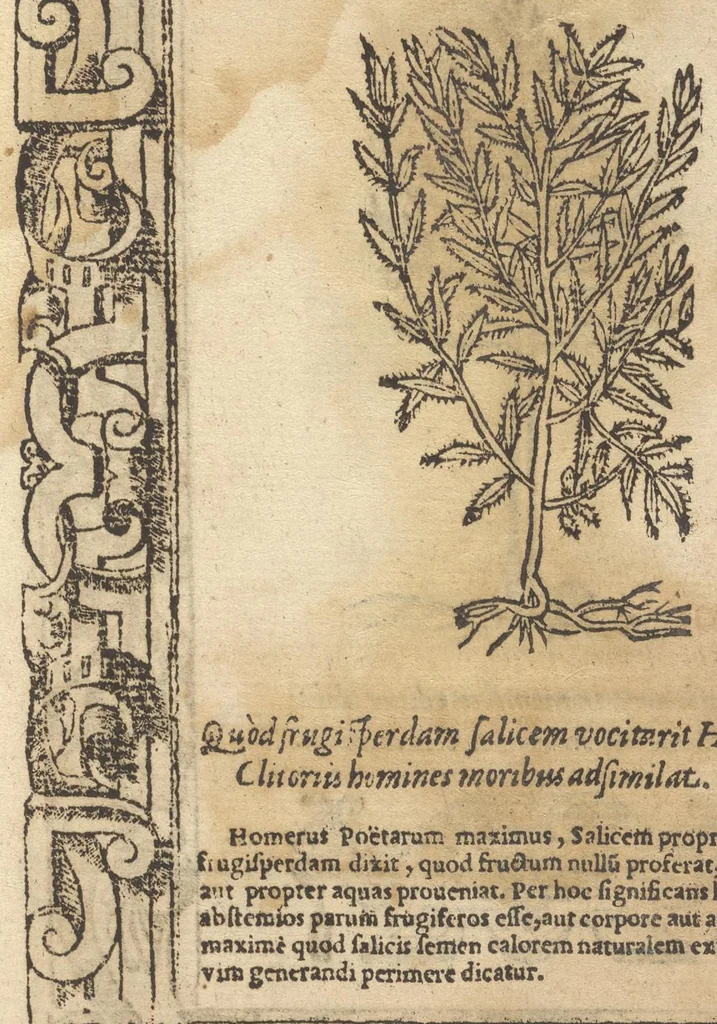 An illustration from D. And. Alciati Emblemata; denvo ab ipso autore recognita, ac quae desiderabantur, imaginibus locupletata; accesserunt noua aliquot ab autore emblemata suis quoq[ue] eiconibus insignita, 1566, leaf 218