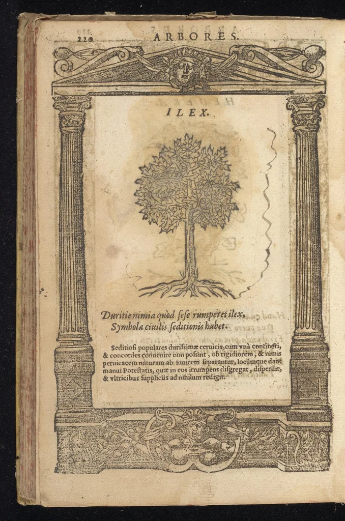 An illustration from D. And. Alciati Emblemata; denvo ab ipso autore recognita, ac quae desiderabantur, imaginibus locupletata; accesserunt noua aliquot ab autore emblemata suis quoq[ue] eiconibus insignita, 1566, leaf 223