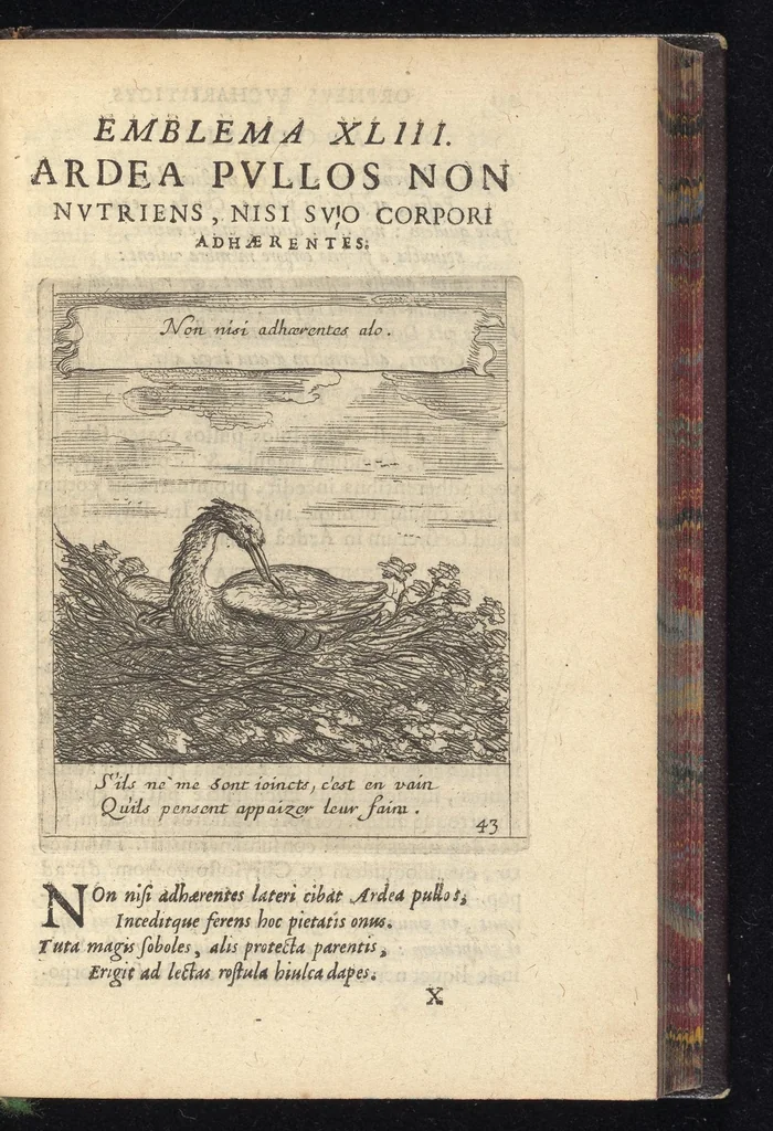 An illustration from Orpheus eucharisticus, siue, Deus absconditus humanitatis illecebris illustriores mundi partes ad se pertrahens, vltroneas arcanae maiestatis adoratrices : opus nouum, in varias historicorum emblematum aeneis tabulis incisorum centurias distinctum, quae strictâ, solutâque oratione explanantur, adiectis authorum fontibus ex quibus eruuntur : tomus primus, primam centuriam complectens, 1657, leaf 326