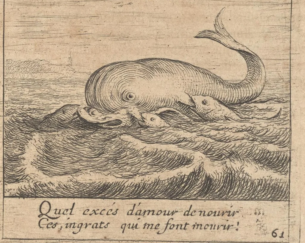 An illustration from Orpheus eucharisticus, siue, Deus absconditus humanitatis illecebris illustriores mundi partes ad se pertrahens, vltroneas arcanae maiestatis adoratrices : opus nouum, in varias historicorum emblematum aeneis tabulis incisorum centurias distinctum, quae strictâ, solutâque oratione explanantur, adiectis authorum fontibus ex quibus eruuntur : tomus primus, primam centuriam complectens, 1657, leaf 436