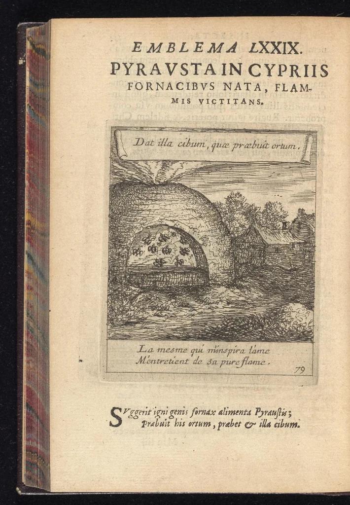 An illustration from Orpheus eucharisticus, siue, Deus absconditus humanitatis illecebris illustriores mundi partes ad se pertrahens, vltroneas arcanae maiestatis adoratrices : opus nouum, in varias historicorum emblematum aeneis tabulis incisorum centurias distinctum, quae strictâ, solutâque oratione explanantur, adiectis authorum fontibus ex quibus eruuntur : tomus primus, primam centuriam complectens, 1657, leaf 557