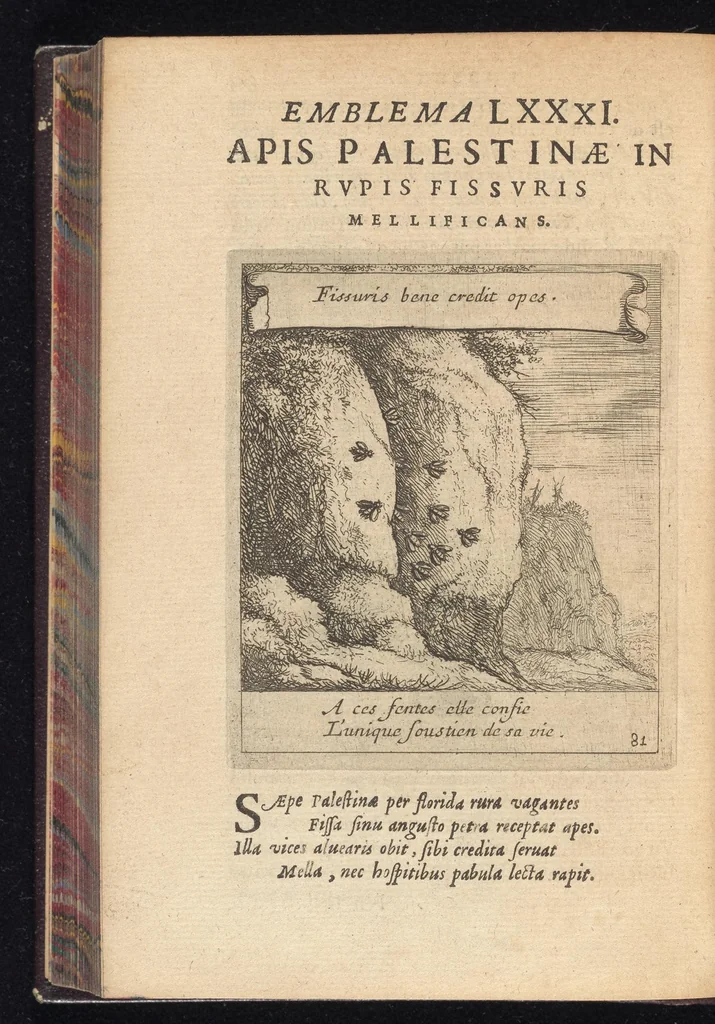An illustration from Orpheus eucharisticus, siue, Deus absconditus humanitatis illecebris illustriores mundi partes ad se pertrahens, vltroneas arcanae maiestatis adoratrices : opus nouum, in varias historicorum emblematum aeneis tabulis incisorum centurias distinctum, quae strictâ, solutâque oratione explanantur, adiectis authorum fontibus ex quibus eruuntur : tomus primus, primam centuriam complectens, 1657, leaf 571