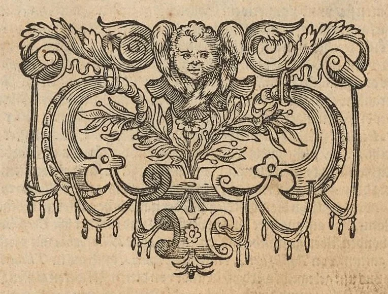 An illustration from Architectvra, die koestliche vnnd weitberumbte Khunst : welche besteht in fünfferley Art der Edifitien, alss namblich Tuscana, Dorica, Ionica, Corinthia, vnnd Composita : diese seind allhie gestelt mitt ihre fundamentale Reglen, vmd die selbige nach die Simmetria, deutlich zu machen mehrthails vber ein stimmend, mit die Lehr von Vitruvio : item ist noch hie bey gefügt viel schöne vnnd herrliche antiquische Edifitien, wie dann auch ettliche modernische Gebewden, nach vorgemelter Khunst der Architectur, in Perspectiva gestellt : sehr nützlich für allen Mahlern, Bildhauweren, Architectur, oder Baumaistern, Maurer, Stainhawern, Zimmerleuten, etc. sampt allen Liebhabern dieser Khunst, 1606, leaf 6