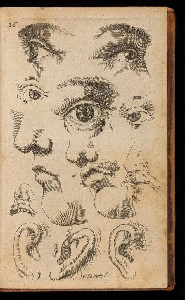 An illustration from Polygraphice: or The arts of drawing, engraving, etching, limning, painting, washing, varnishing, gilding, colouring, dying, beautifying and perfuming. : In four books ... to which is added a discourse of perspective and chiromancy ..., 1675, leaf 36