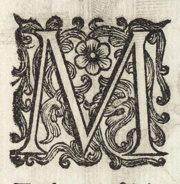 An illustration from De rebvs praeclare gestis a Sixto V. Pon. Max. : Io. Francisci Bordini I.C. et praesbiteri Ro. carminum liber primvs, 1588, leaf 16