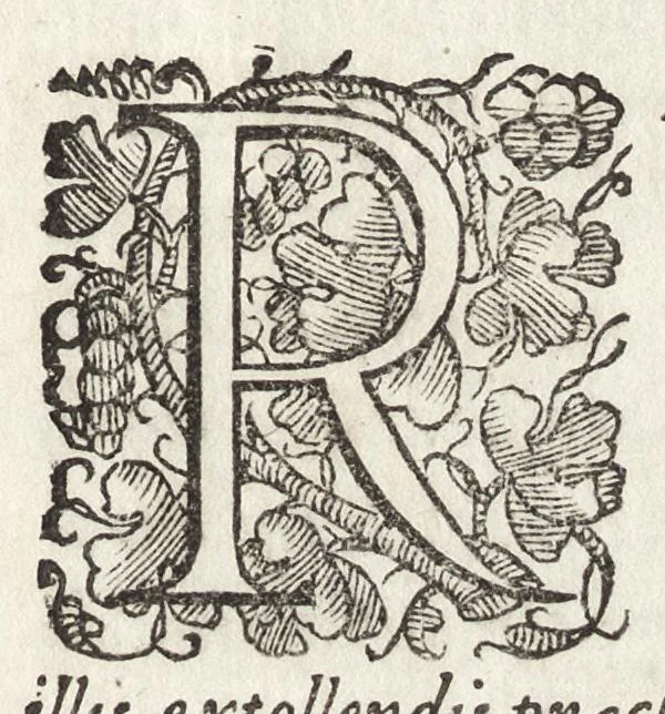 An illustration from De rebvs praeclare gestis a Sixto V. Pon. Max. : Io. Francisci Bordini I.C. et praesbiteri Ro. carminum liber primvs, 1588, leaf 8