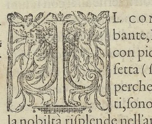 An illustration from Descrittione di m. Lodovico Gvicciardini, gentilhvomo fiorentino, di tvtti i paesi Bassi, altrimenti detti Germania inferiore : con tutte le carte di geographia del paese, & col ritratto al naturale di molte terre principali : riueduta di nuouo, & ampliata per tutto la terza volta dal medesimo autore : con amplissimo indice di tutte le cose piu memorabili, 1588, leaf 683