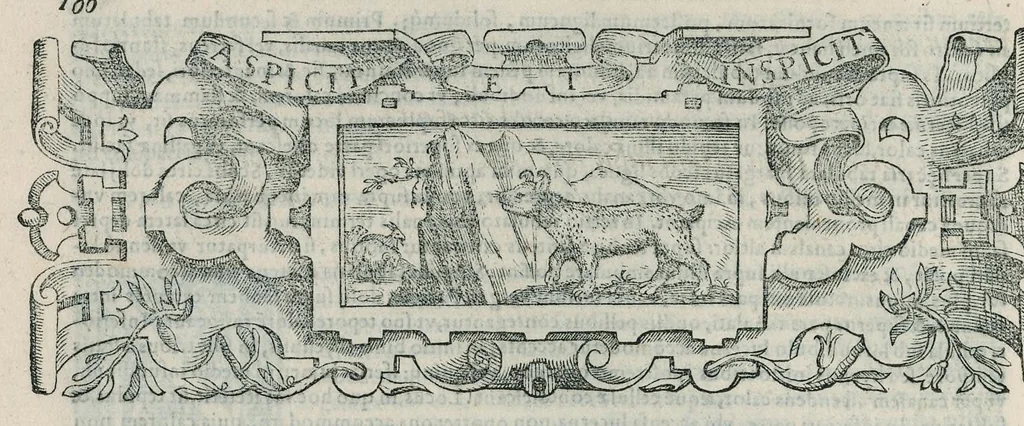 An illustration from Io. Bapt. Portae Neapolitani Magiae natvralis libri XX, 1589, leaf 127