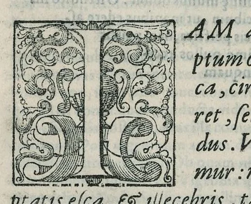 An illustration from Io. Bapt. Portae Neapolitani Magiae natvralis libri XX, 1589, leaf 127