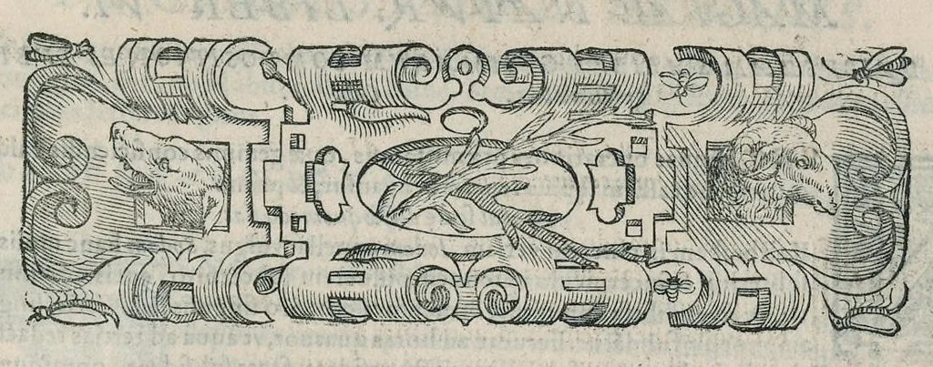 An illustration from Io. Bapt. Portae Neapolitani Magiae natvralis libri XX, 1589, leaf 138