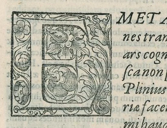 An illustration from Io. Bapt. Portae Neapolitani Magiae natvralis libri XX, 1589, leaf 138