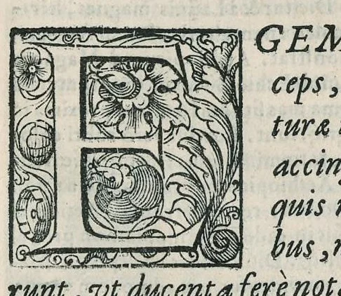 An illustration from Io. Bapt. Portae Neapolitani Magiae natvralis libri XX, 1589, leaf 148