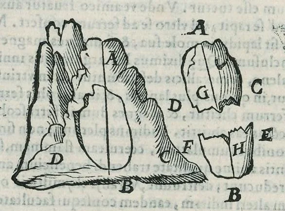 An illustration from Io. Bapt. Portae Neapolitani Magiae natvralis libri XX, 1589, leaf 151
