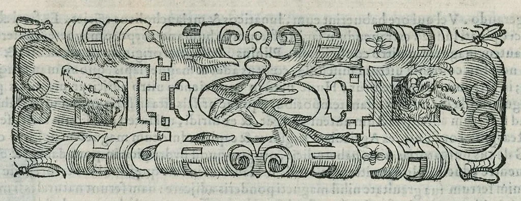 An illustration from Io. Bapt. Portae Neapolitani Magiae natvralis libri XX, 1589, leaf 169