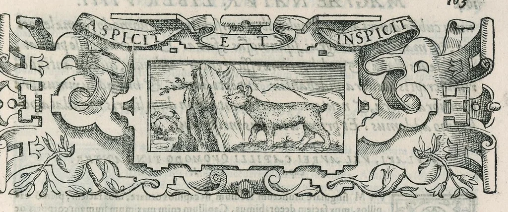 An illustration from Io. Bapt. Portae Neapolitani Magiae natvralis libri XX, 1589, leaf 182