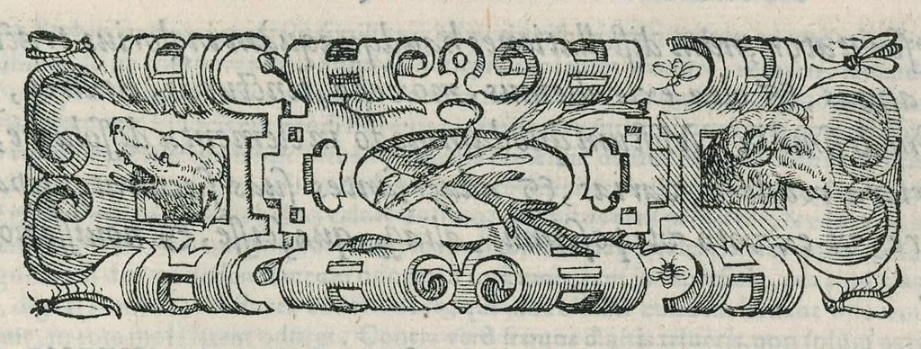 An illustration from Io. Bapt. Portae Neapolitani Magiae natvralis libri XX, 1589, leaf 198
