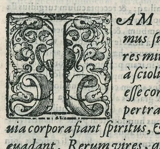 An illustration from Io. Bapt. Portae Neapolitani Magiae natvralis libri XX, 1589, leaf 198