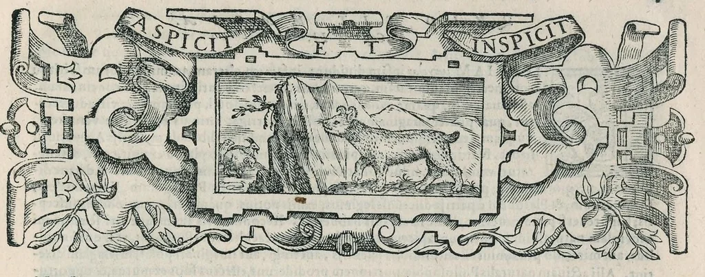 An illustration from Io. Bapt. Portae Neapolitani Magiae natvralis libri XX, 1589, leaf 22