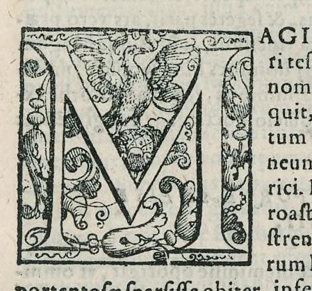 An illustration from Io. Bapt. Portae Neapolitani Magiae natvralis libri XX, 1589, leaf 22