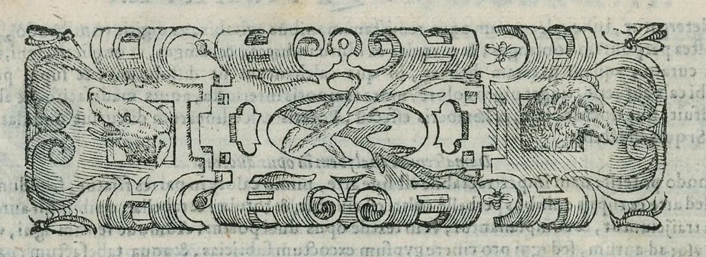An illustration from Io. Bapt. Portae Neapolitani Magiae natvralis libri XX, 1589, leaf 243