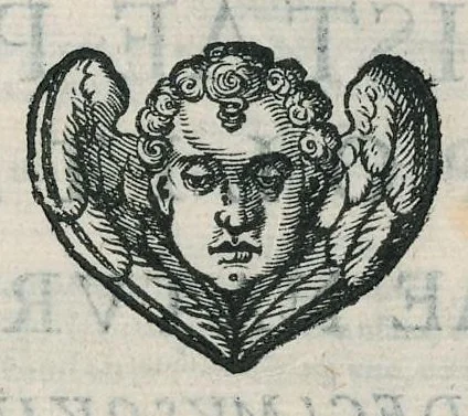 An illustration from Io. Bapt. Portae Neapolitani Magiae natvralis libri XX, 1589, leaf 254
