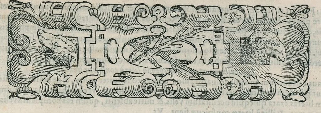 An illustration from Io. Bapt. Portae Neapolitani Magiae natvralis libri XX, 1589, leaf 264