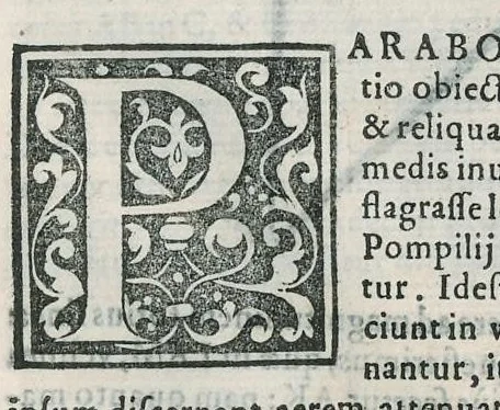 An illustration from Io. Bapt. Portae Neapolitani Magiae natvralis libri XX, 1589, leaf 288