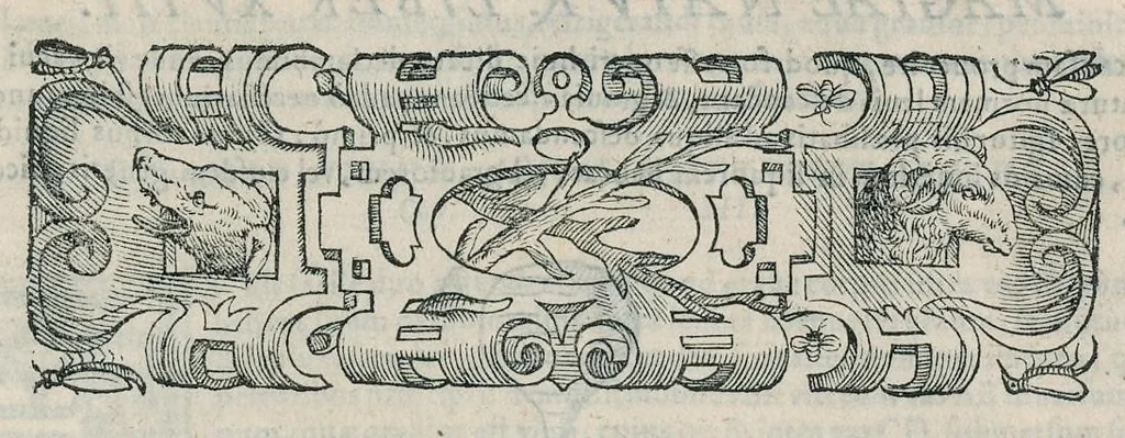 An illustration from Io. Bapt. Portae Neapolitani Magiae natvralis libri XX, 1589, leaf 298