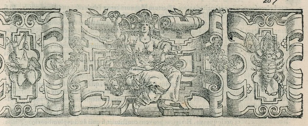 An illustration from Io. Bapt. Portae Neapolitani Magiae natvralis libri XX, 1589, leaf 302